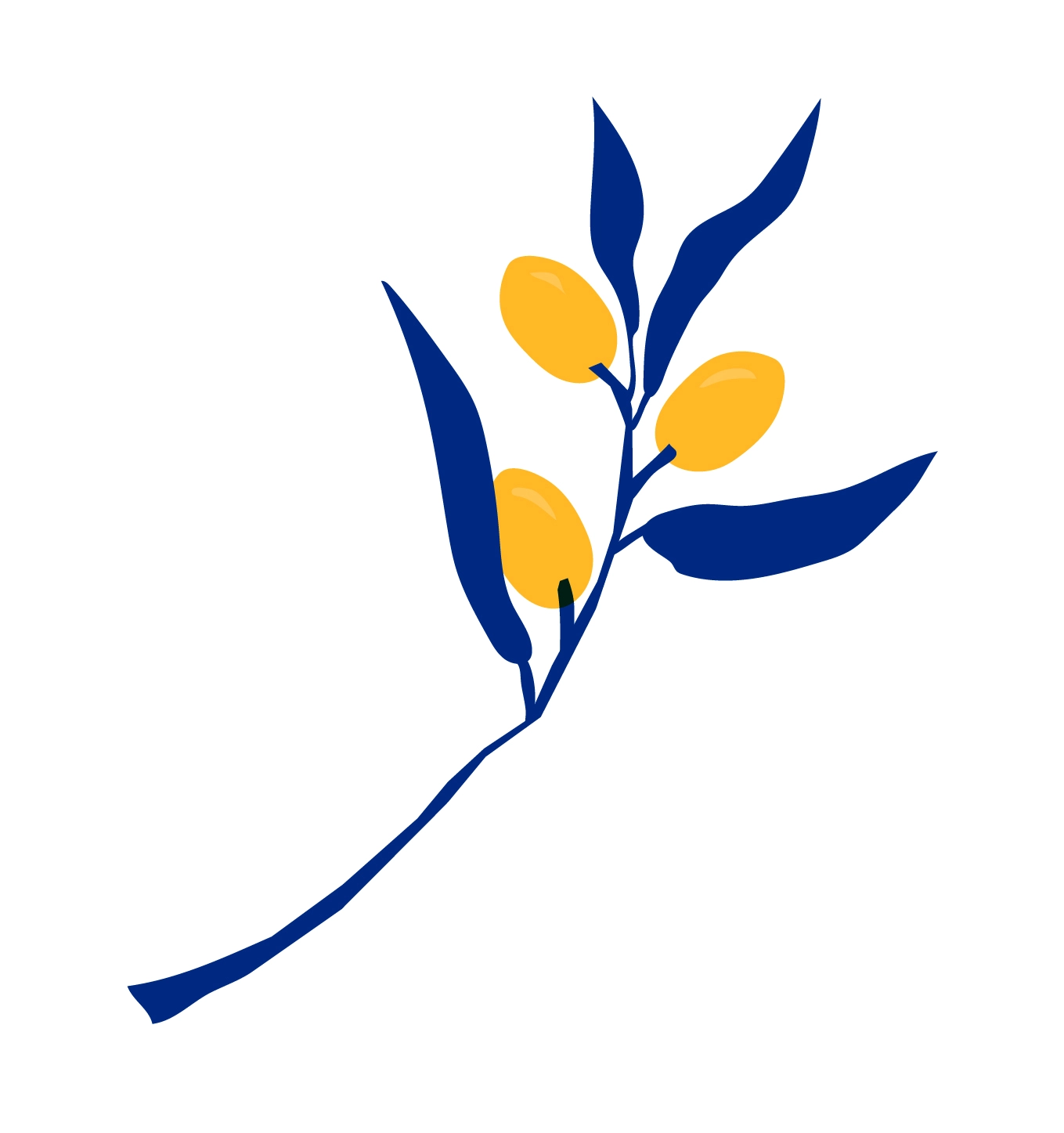 Produits Salon Marche Gourmand Occitanie